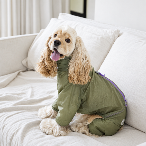 LightShield Waterproof Dog Rain Suit – Four-Leg Coverage