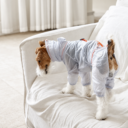 Terrier wearing a Cloud Grey LightShield four-leg rain suit with orange trim, standing on a white sofa, viewed from behind.
