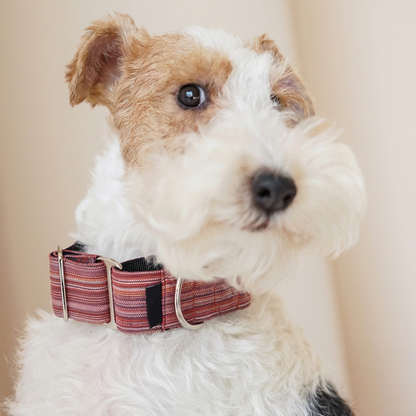 Striped Martingale Dog Collar – Purple, Green, Red or Blue