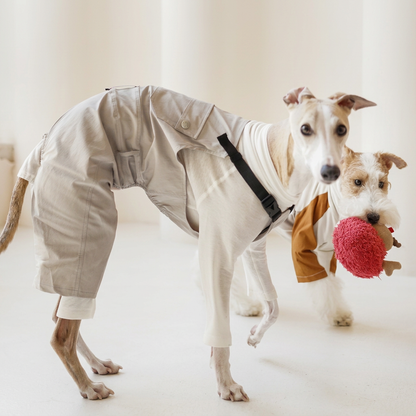 Dog in White Urban Explorer overalls beside a terrier holding a red toy; underneath tops and toy are separate styling items.