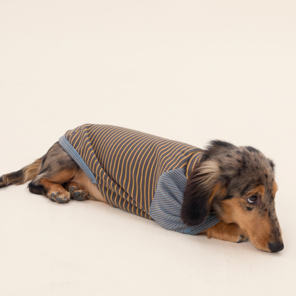 Cocoon Striped Dog Top with Contrast Sleeves – Brown or Yellow