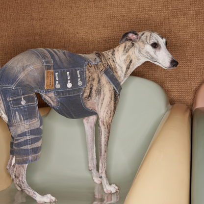 Urban Washed Denim Overalls for Dogs
