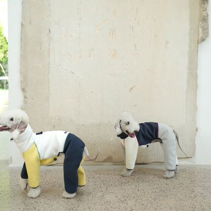 Polaris Colour-Block Four-Leg Dog Jumpsuit