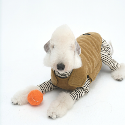 Golden Dog Vest with Stitched Panels – Bronze or Navy