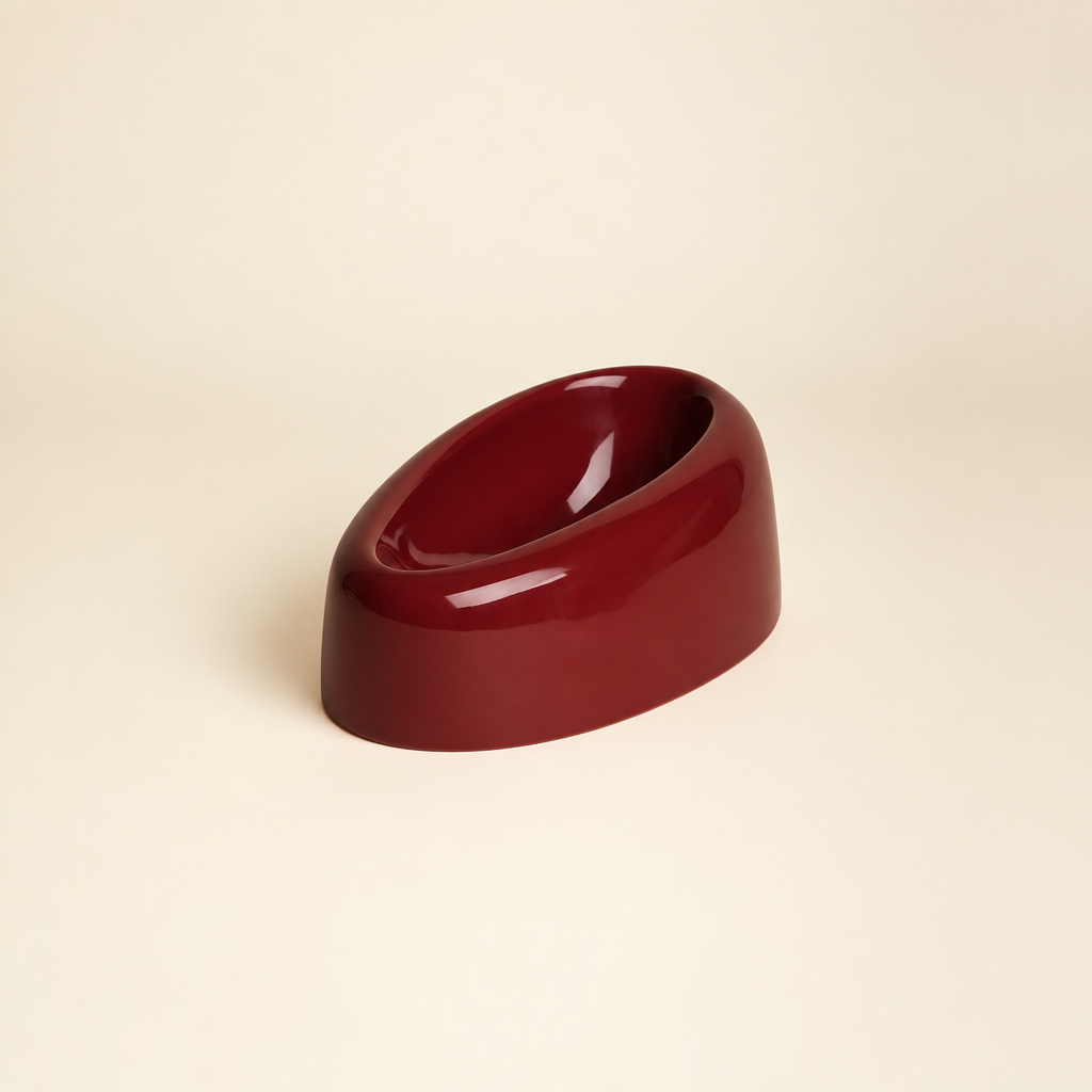 Burgundy bowl studio image