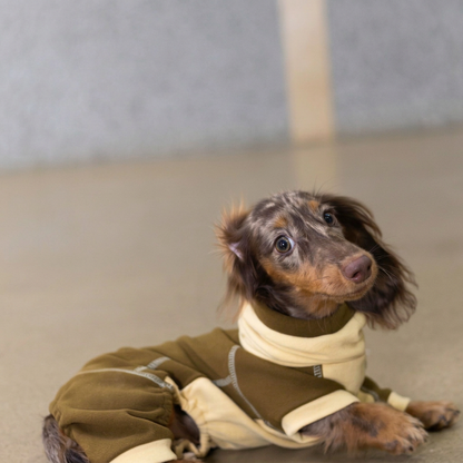 Ginger Chestnut Four-Leg Dog Hoodie – Brown and Cream