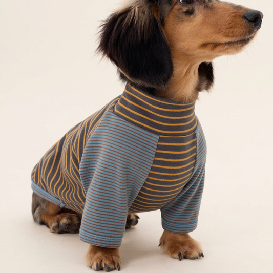 Cocoon Striped Dog Top with Contrast Sleeves – Brown or Yellow