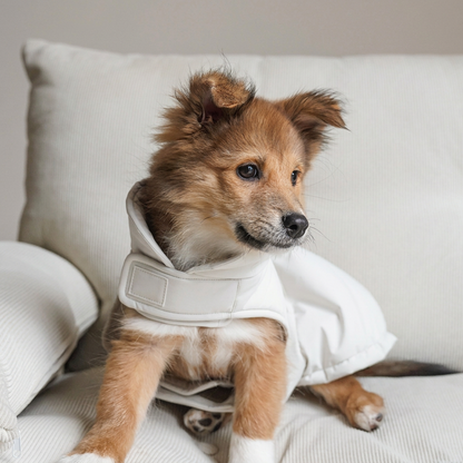 Easy-On Puffer-Style Dog Vest – Blue or White