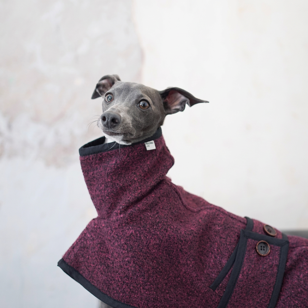 Grey dog wearing the plum Metropolitan coat, showing a high collar, textured fabric, black edging, round buttons and sewn Hound Co label.