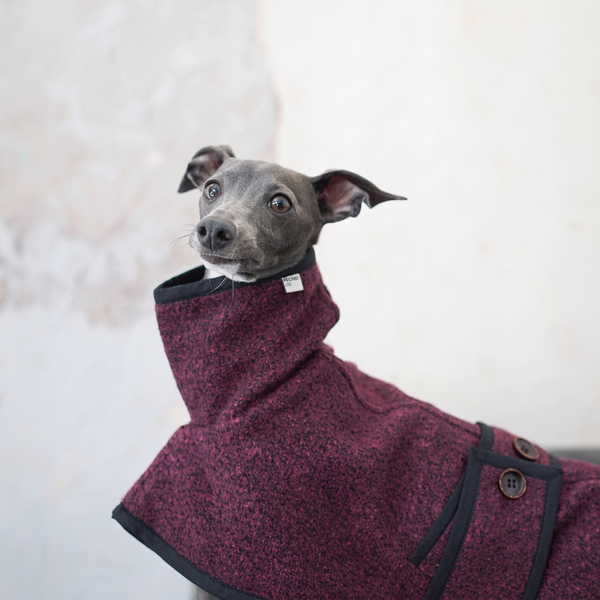 Metropolitan Dog Coat – High-Collar Textured Wrap