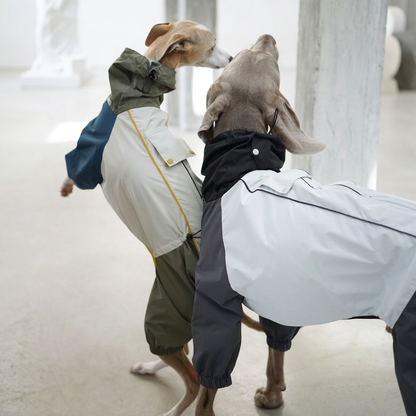 Barrier Four-Leg Dog Raincoat – Blue or Green