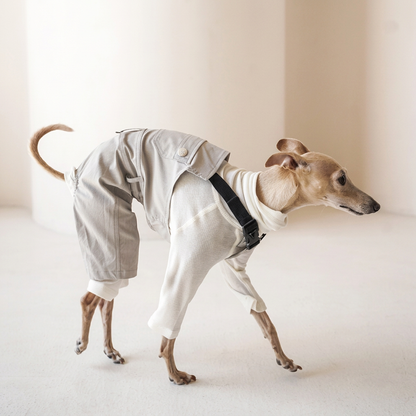 Side view of a walking dog wearing White Urban Explorer overalls with black straps and buckle over a separate white long-sleeved top.