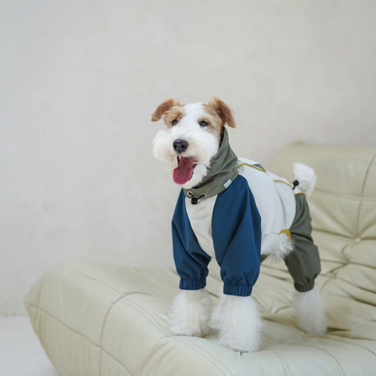 Barrier Four-Leg Dog Raincoat – Blue or Green