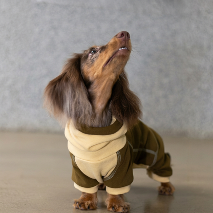 Ginger Chestnut Four-Leg Dog Hoodie – Brown and Cream