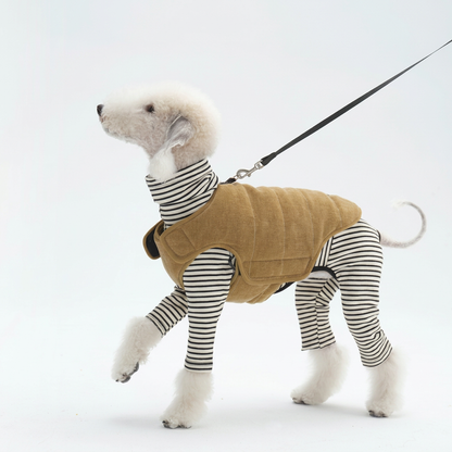Golden Dog Vest with Stitched Panels – Bronze or Navy