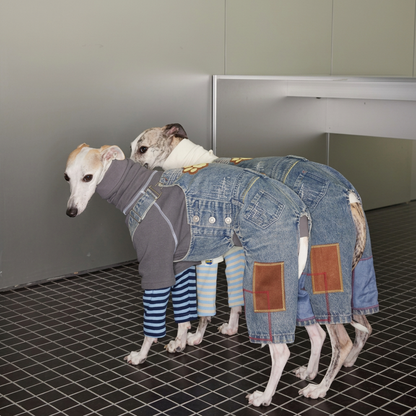 Denim Dog Overalls with Paw Patch – Blue, Sizes 1–5