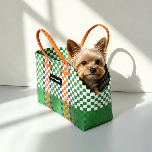 Woven Pet Carrier Handbag – Large Handwoven Dog and Cat Bag, 35 x 15 x 26 cm, Waterproof and Easy to Clean