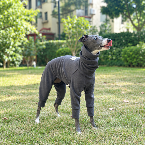 Thermal Stretch Dog Onesie for Italian Greyhounds and Whippets – Warm Four-Leg Base Layer, 10 Sizes, 3–25 kg