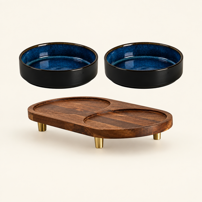 Tilted double-bowl stand