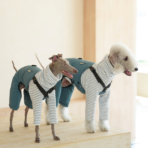 Winter Workwear Dog Jumpsuit – Adjustable Overalls