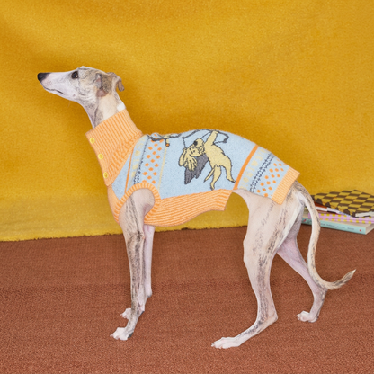 Angel Pattern Knitted Dog Jumper – Orange and Blue