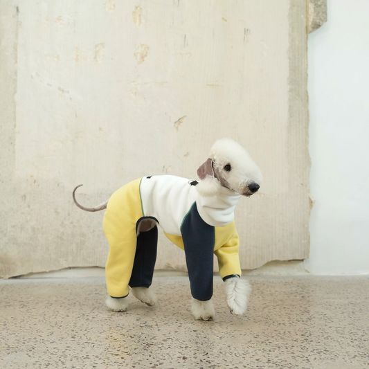 Polaris Colour-Block Four-Leg Dog Jumpsuit
