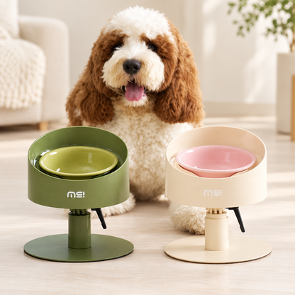 Dog with green and cream adjustable bowl stands
