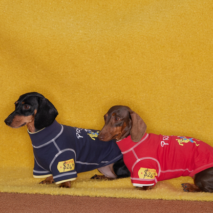 Boxing Embroidered Tee for Dogs