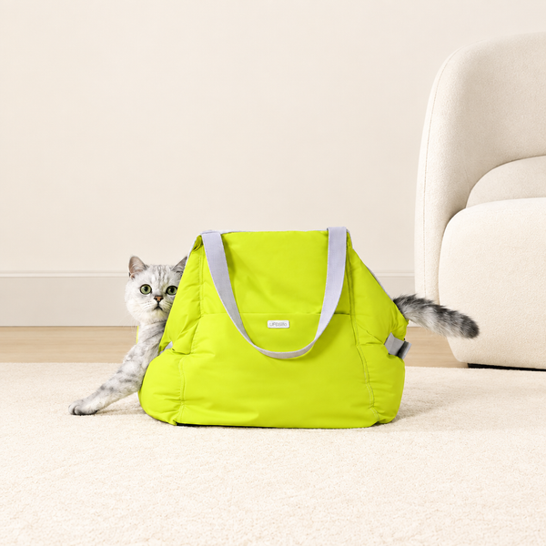 Pet Car Bed and Carry Bag – 2-in-1 Padded Car Seat Bed for Small Dogs and Cats up to 6 kg, Green