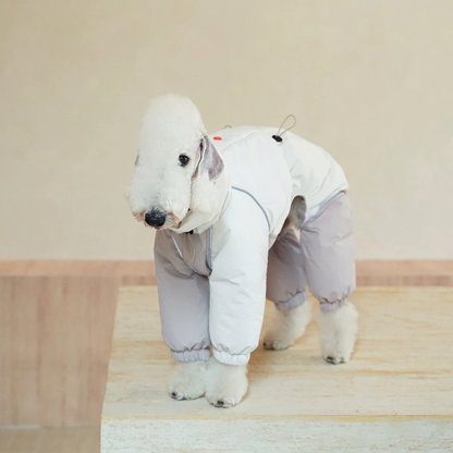 White dog wearing an ivory Autumn Breeze outdoor suit with pale grey-lilac panels, raised collar and elasticated cuffs.