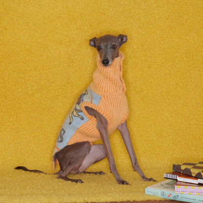 Angel Pattern Knitted Dog Jumper – Orange and Blue