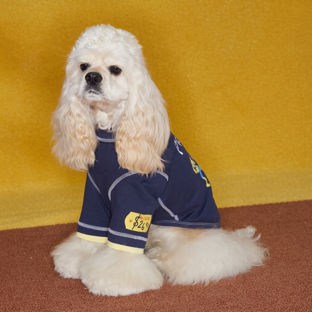 Boxing Embroidered Tee for Dogs