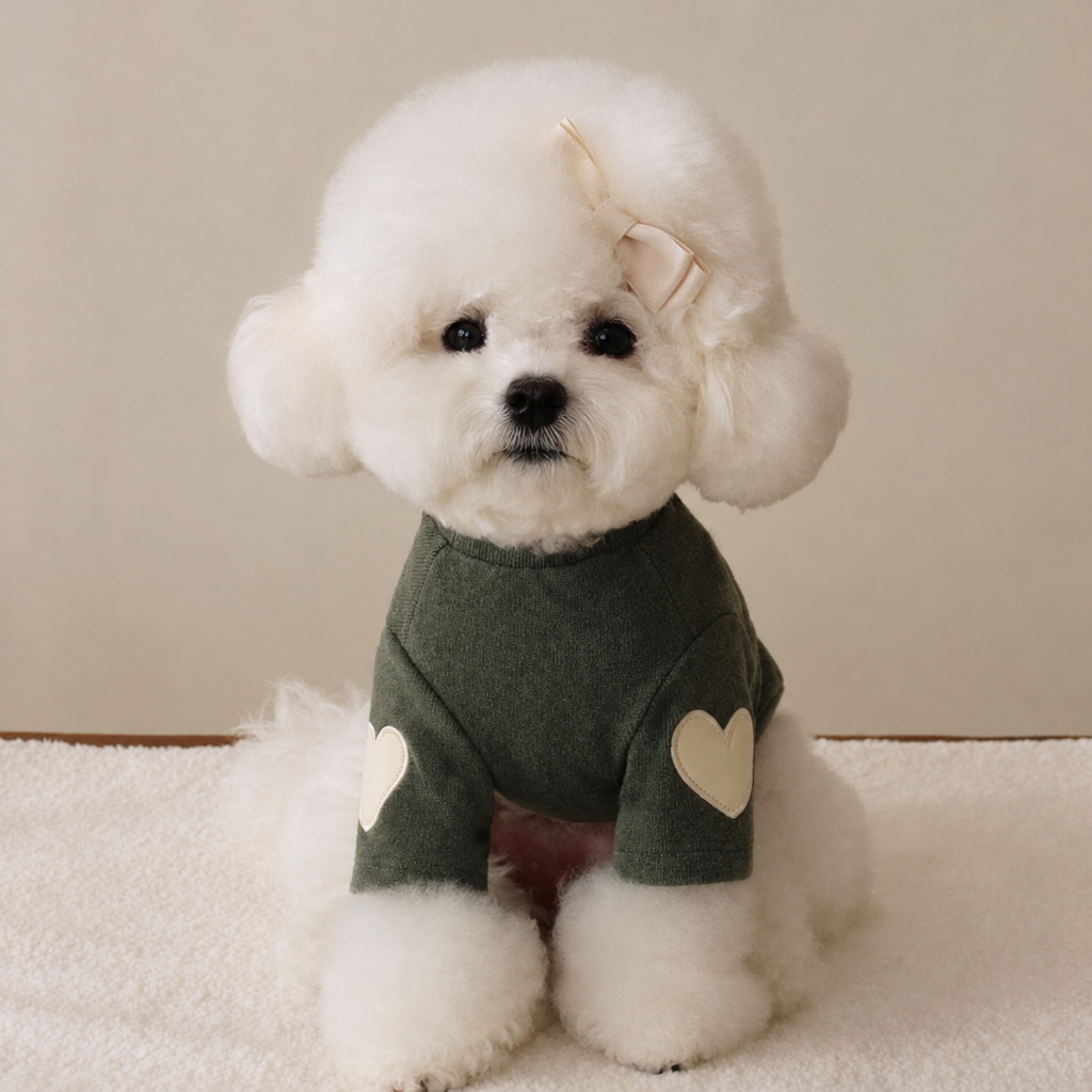 Heart Dog Hoodie – Simple Autumn Hoodie for Small Dogs and Cats, Toy Poodle, Bichon and Yorkie, XS to XL