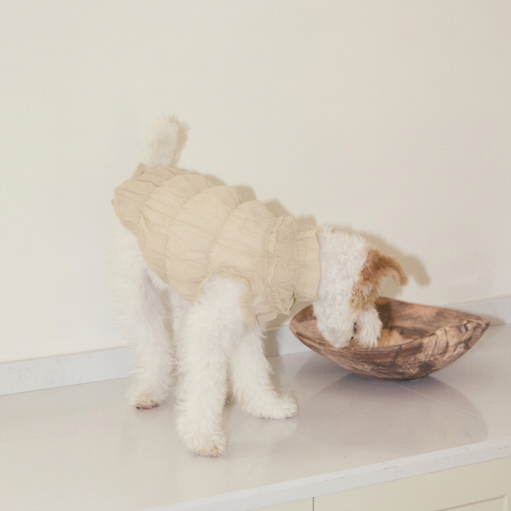 Ruffle Dog Vest – Lavender Mousse, Beige or Purple