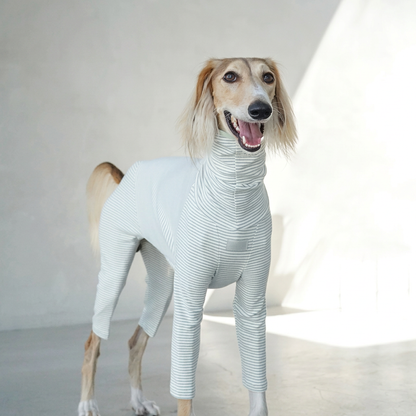 Cosy Stripes Four-Leg Dog Pyjamas – Blue, Pink or Grey