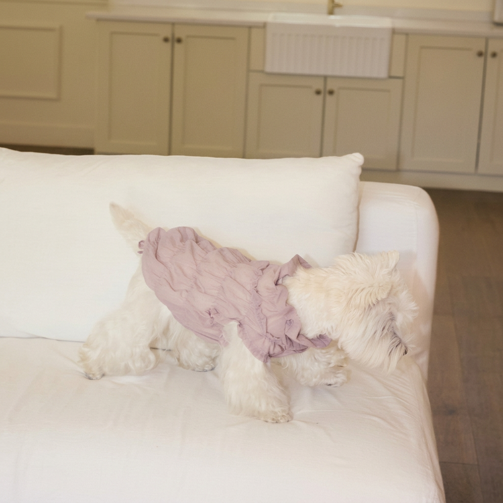 Ruffle Dog Vest – Lavender Mousse, Beige or Purple