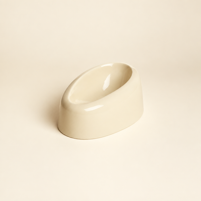 Ivory bowl studio image