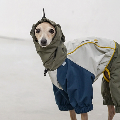 Barrier Four-Leg Dog Raincoat – Blue or Green