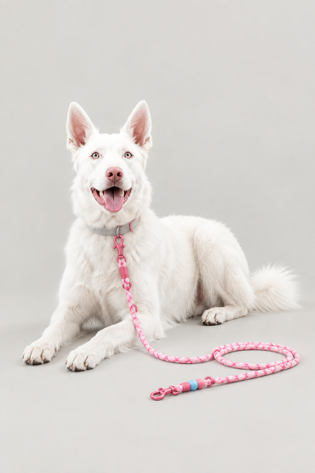 Braided rope dog lead – view 6
