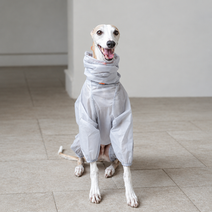 Front view of a seated whippet wearing a Cloud Grey LightShield rain suit, showing the raised neck and front-leg sleeves.