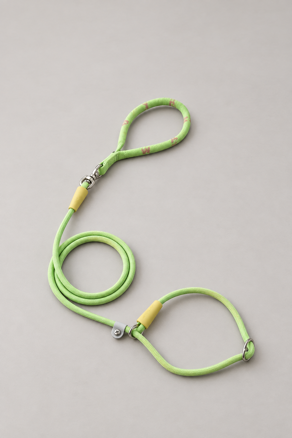 Small dog rope slip lead in Fern