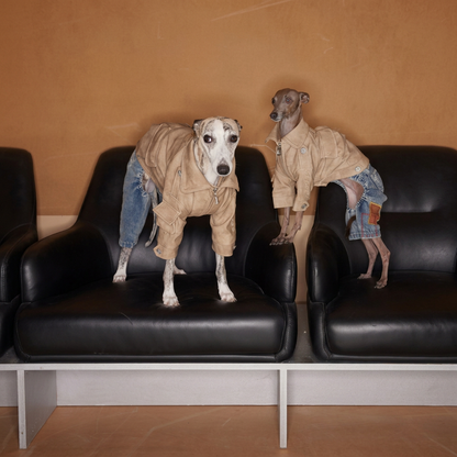 Urban Moto Suede Jacket for Dogs