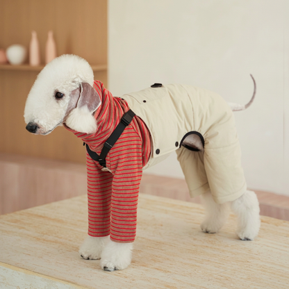 White dog in Beige Winter Workwear overalls showing the black body straps, side opening and rear-leg coverage, styled with a separate red-striped top.