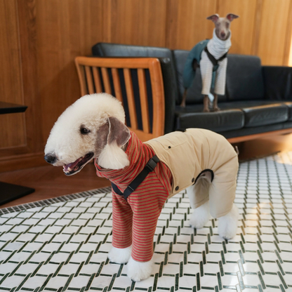 White dog wearing Beige Winter Workwear overalls over a separate red-striped top on a tiled floor, with a Blue-overalls dog on the sofa behind.