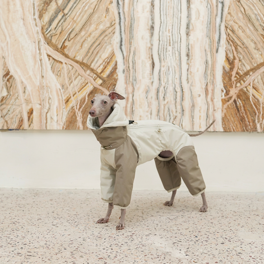 Autumn Colour-Block Four-Leg Dog Jacket