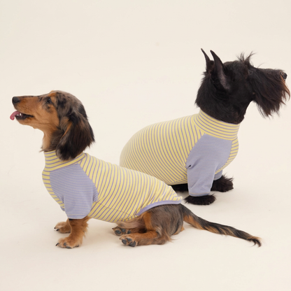 Cocoon Striped Dog Top with Contrast Sleeves – Brown or Yellow