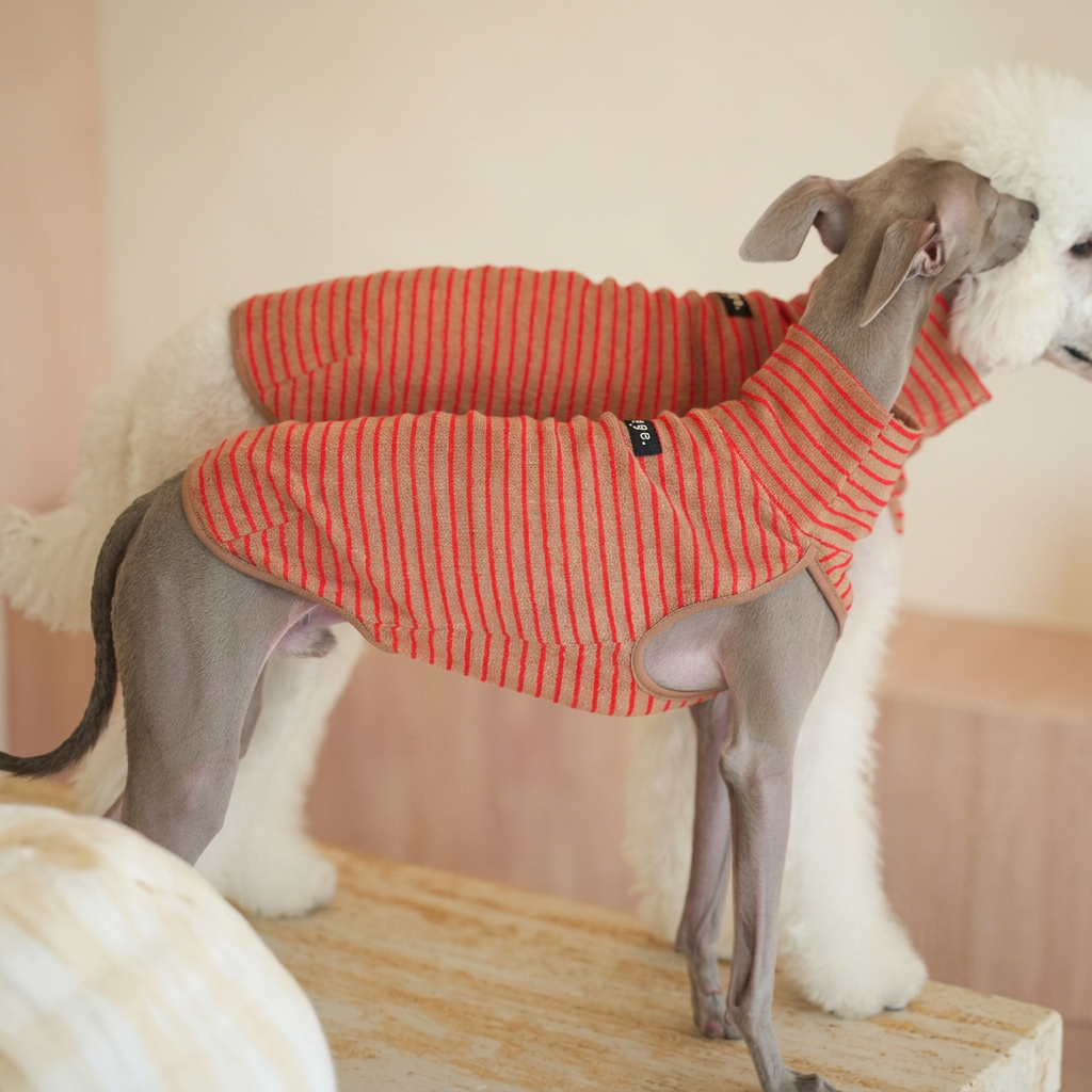 Side close-up of two dogs in brown and red-striped Autumn Stripes sleeveless vests, showing fabric texture, high collars and sewn labels.