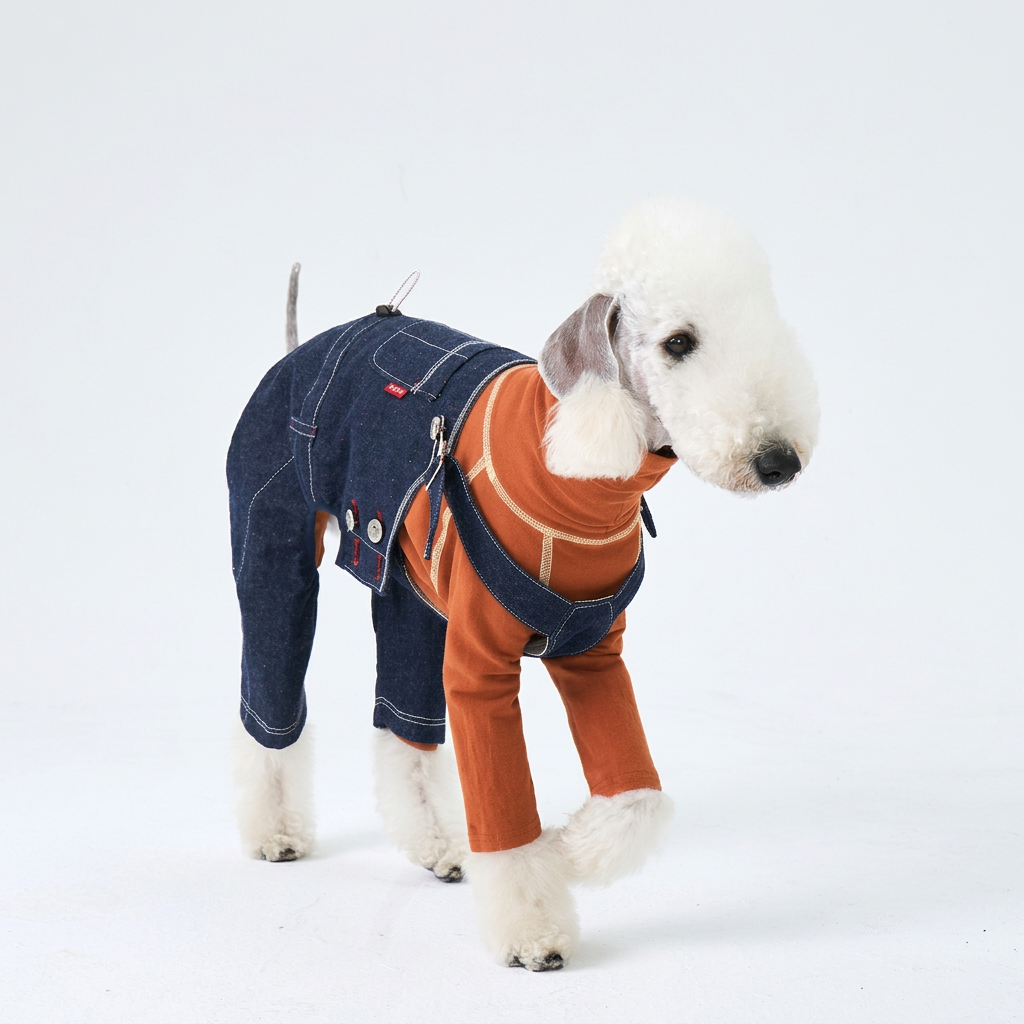 White dog wearing indigo denim dungarees with silver buttons and adjustable straps over a separate orange long-sleeve top.