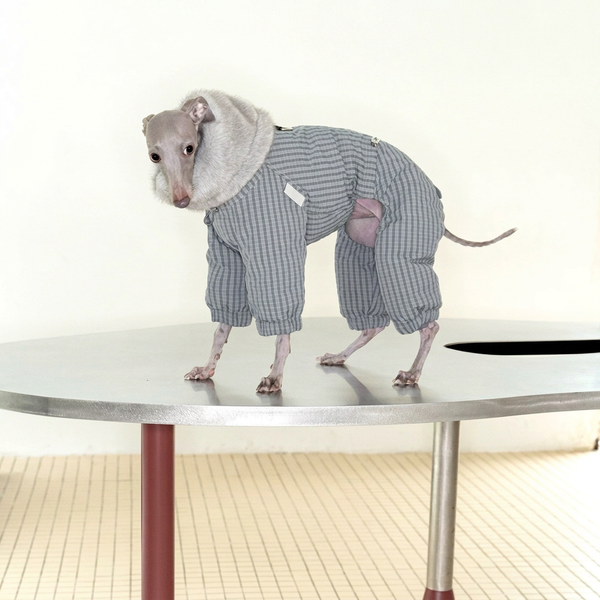 WinterCore Four-Leg Dog Jacket – Grey, White or Navy