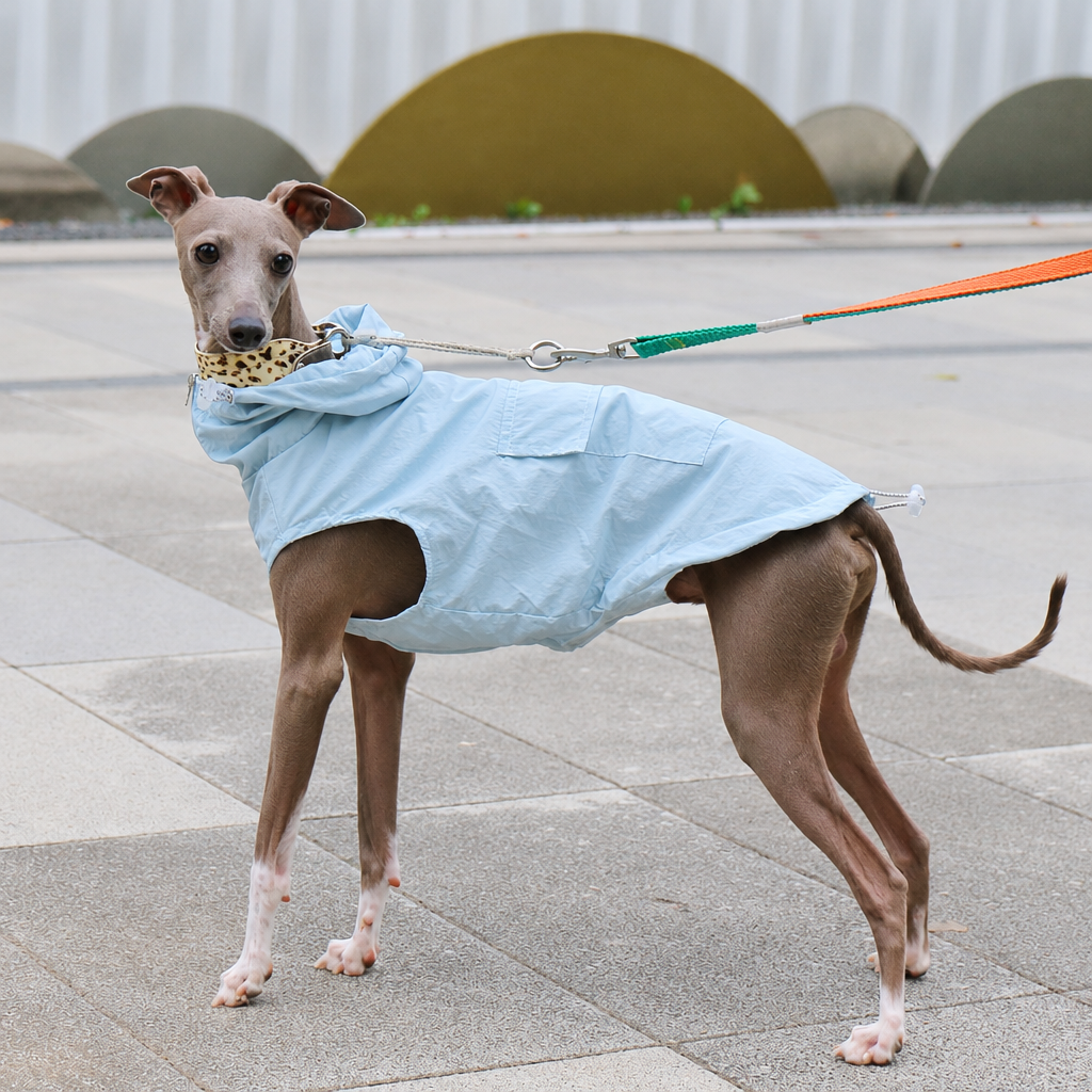 Lightweight Waterproof Sun Vest for Italian Greyhounds and Whippets – Thin Summer Dog Vest, S to 4XL